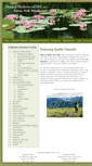 Mobile Screenshot of naturalmedicineofnh.com